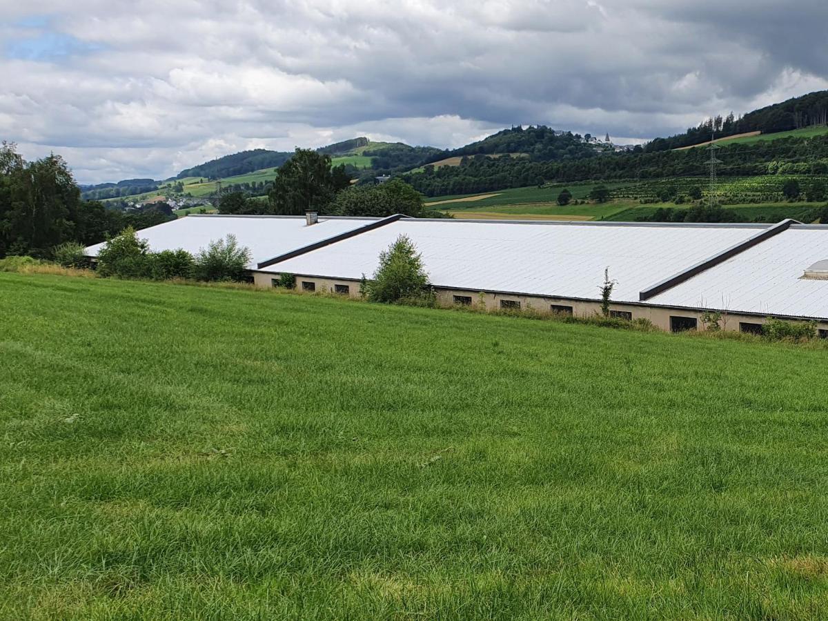Ferienwohnungen Am Finkenweg Bestwig Esterno foto